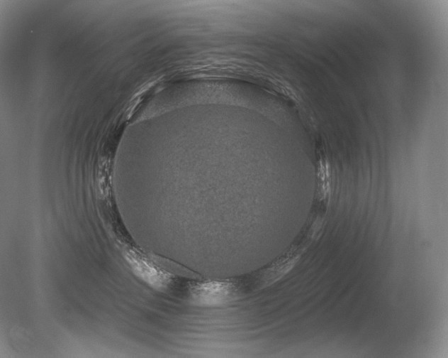 X0000079290237200611171059