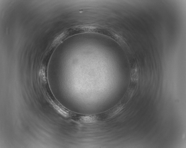 X0000079290238200611171059