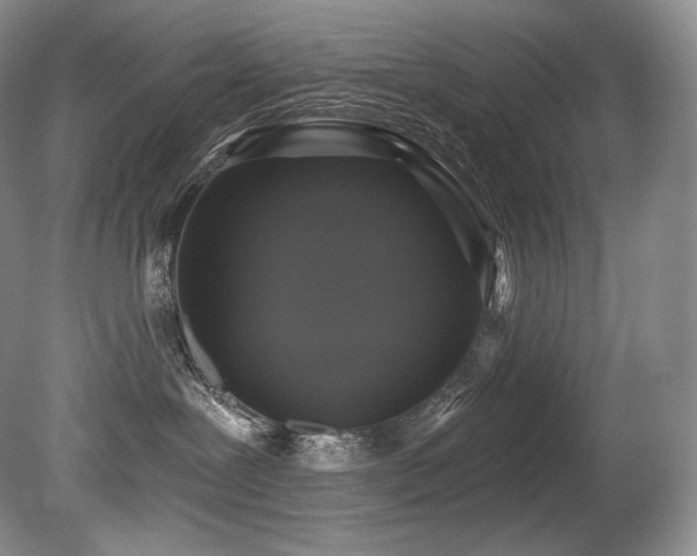 X0000079290239200611171059