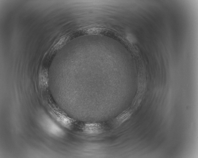 X0000079290240200611171059