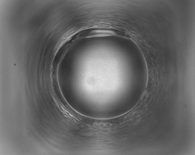 X0000079290242200611171058