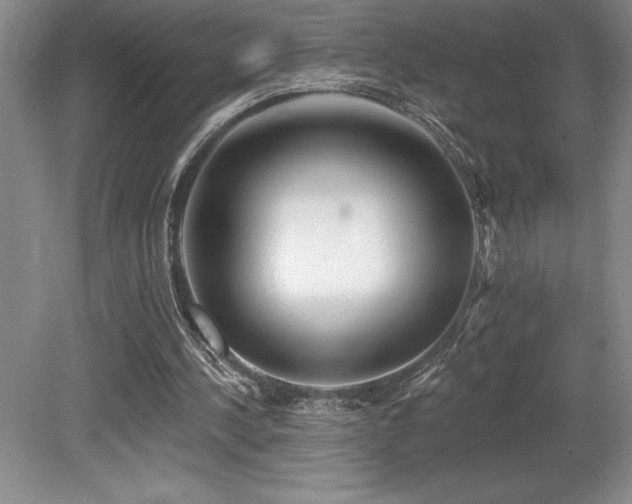 X0000079290244200611171058