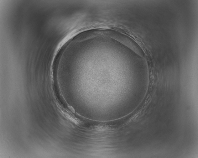 X0000079290246200611171058