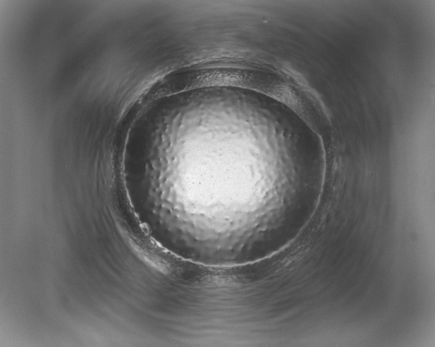 X0000079290250200611171058
