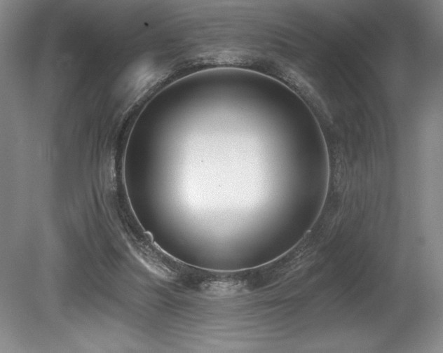 X0000079290251200611171058