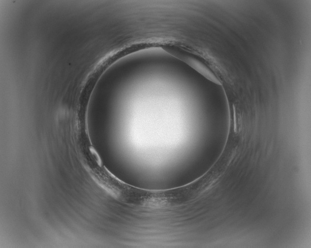 X0000079290252200611171059