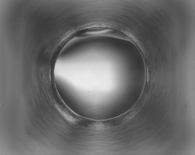 X0000079290253200611171059