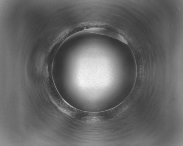 X0000079290254200611171059