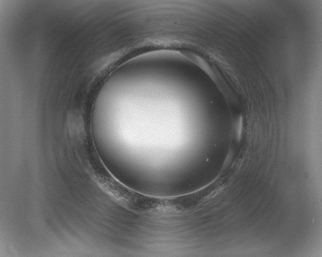 X0000079290256200611171059