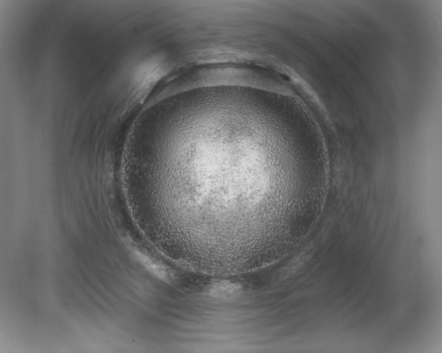 X0000079290257200611171059