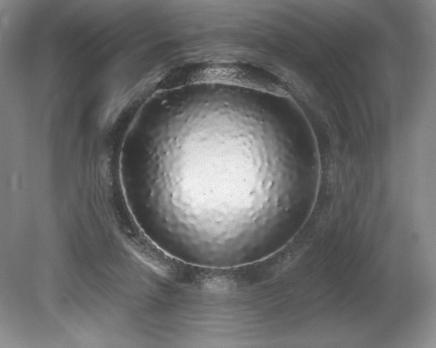 X0000079290258200611171059