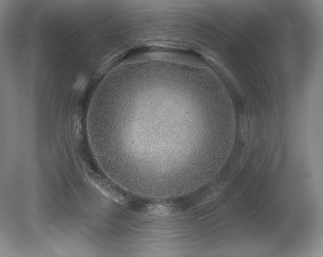 X0000079290259200611171059