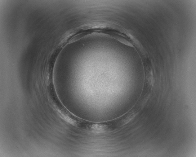 X0000079290261200611171059