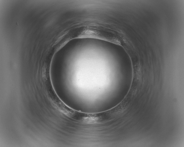 X0000079290266200611171059
