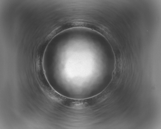 X0000079290267200611171059
