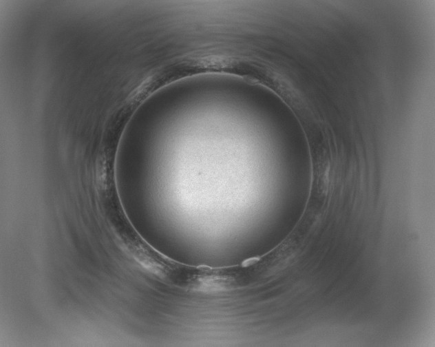 X0000079290268200611171059