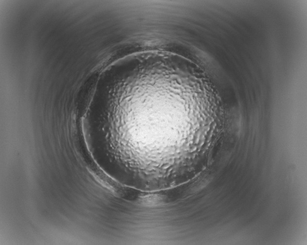 X0000079290269200611171059