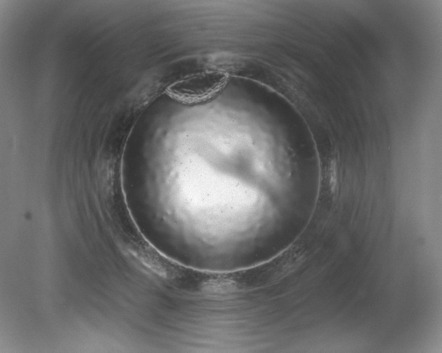 X0000079290271200611171059