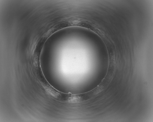X0000079290274200611171059
