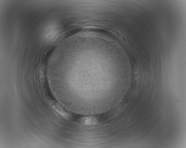 X0000079290275200611171059