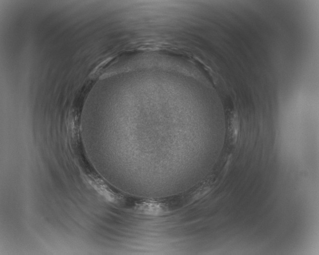 X0000079290276200611171059