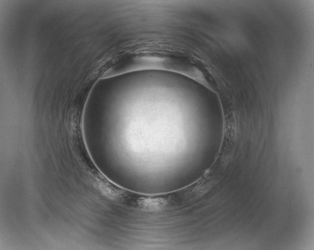 X0000079290277200611171059