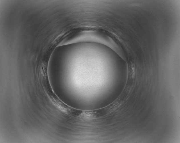 X0000079290280200611171059