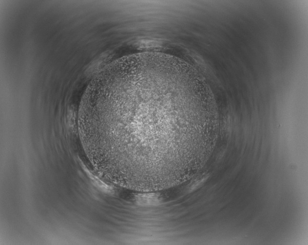 X0000079290281200611171059