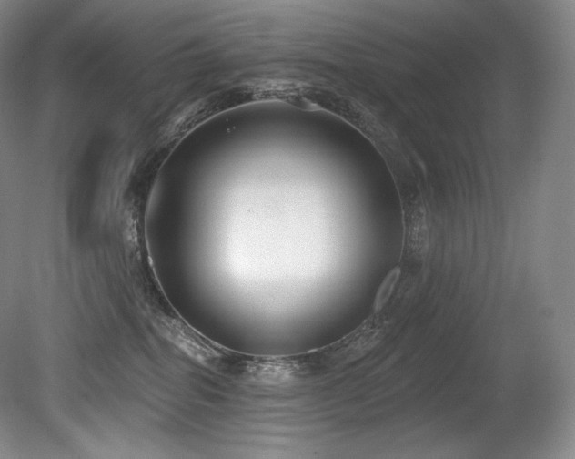 X0000079290282200611171059