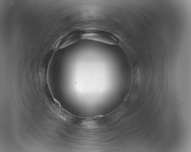 X0000079290283200611171059