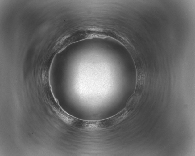 X0000079290285200611171059