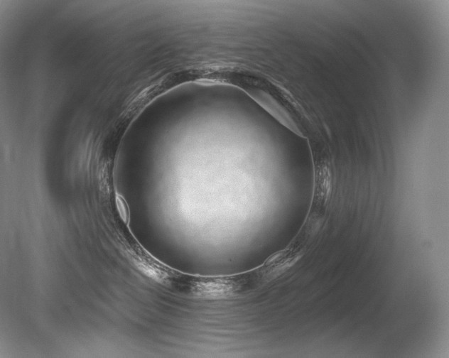 X0000079290286200611171059