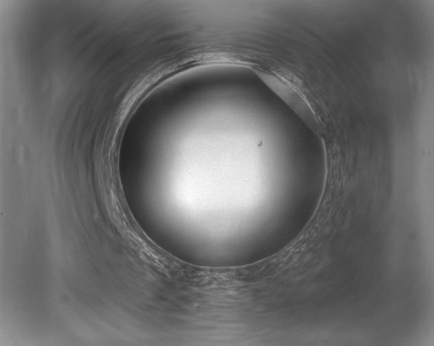 X0000079290289200611171058