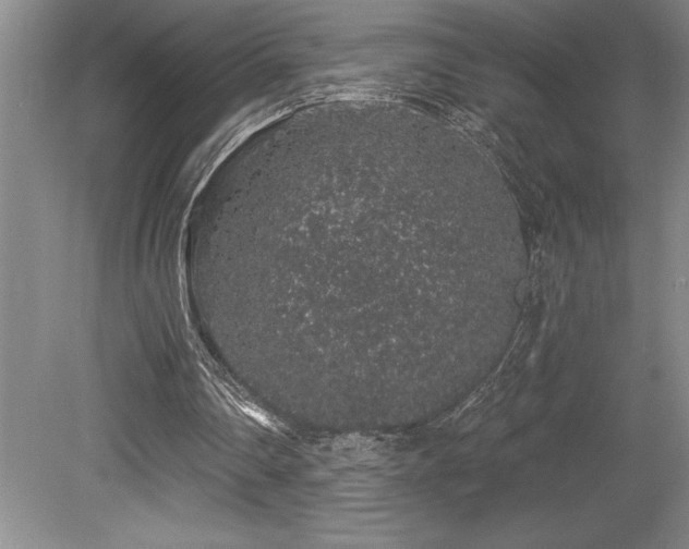 X0000079290290200611171058
