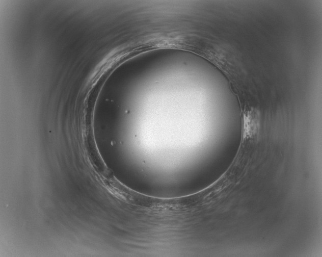 X0000079290291200611171058