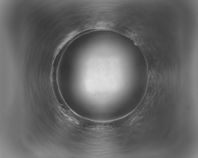 X0000079290292200611171058