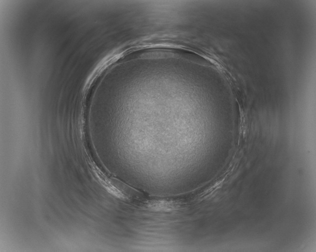 X0000079290293200611171058