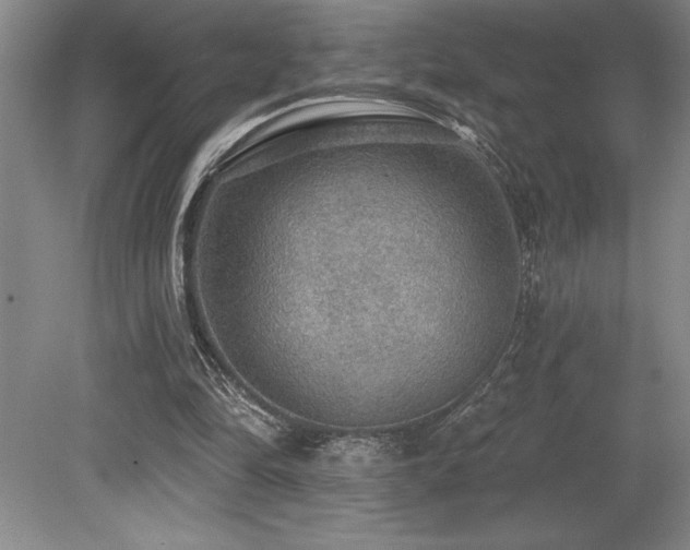 X0000079290294200611171058