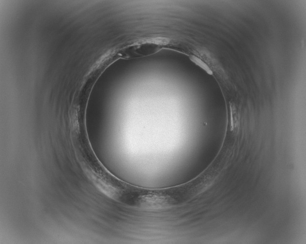 X0000079290300200611171058