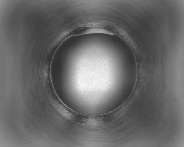 X0000079290305200611171058