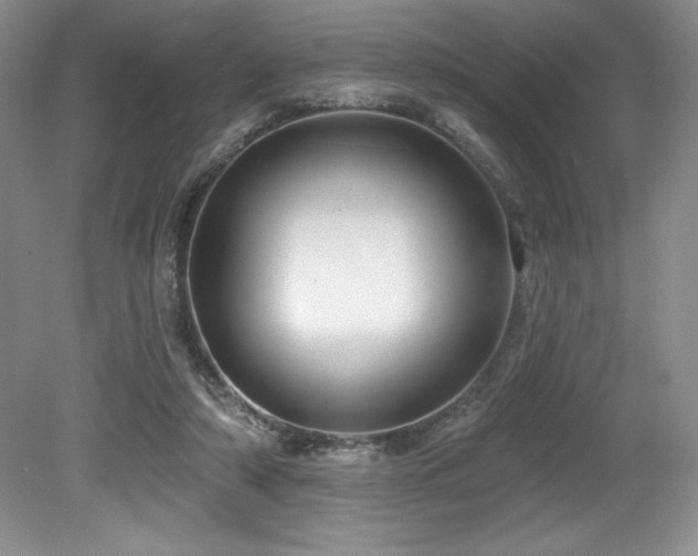 X0000079290306200611171058