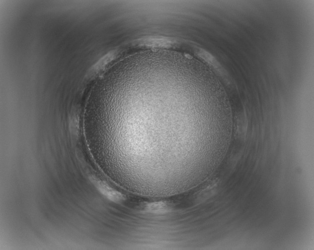 X0000079290309200611171058
