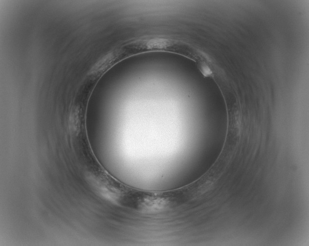 X0000079290311200611171058