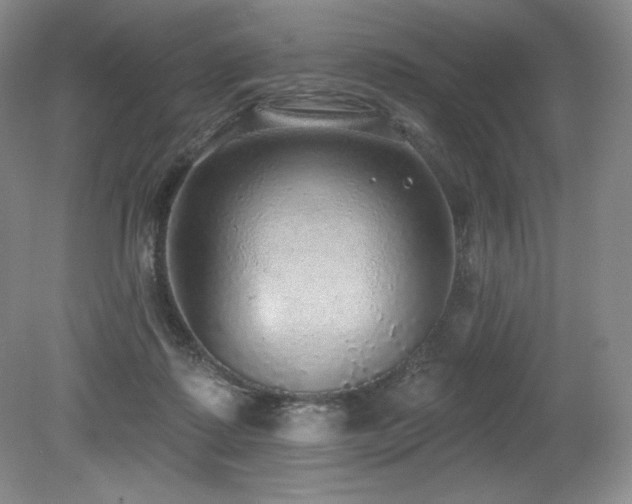 X0000079290315200611171058