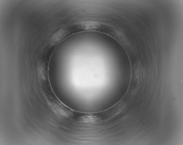 X0000079290316200611171058