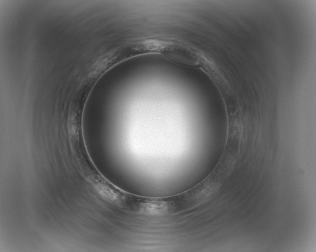 X0000079290317200611171058
