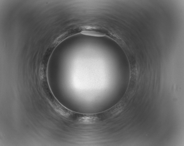 X0000079290323200611171058