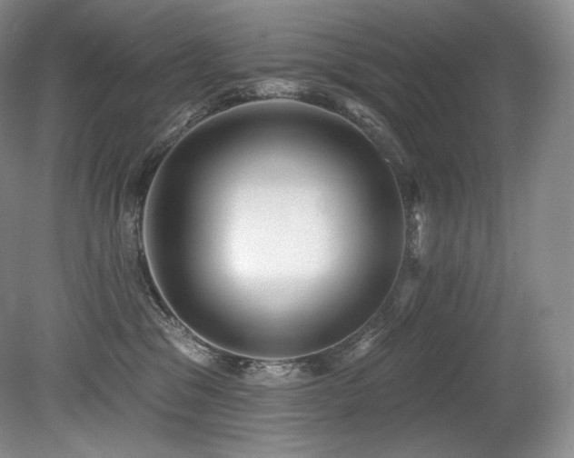 X0000079290329200611171058