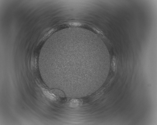 X0000079290330200611171058