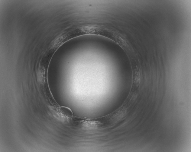 X0000079290332200611171058